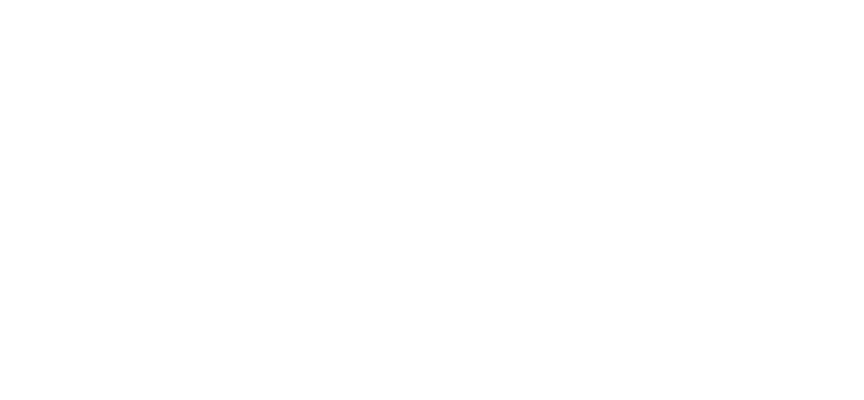 Repuestos COYBO